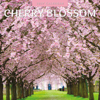 2027 16-Month Calendar Cherry Blossom Square Wall, Red Robin RR271123