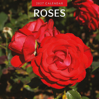 2027 16-Month Calendar Roses Square Wall, Red Robin RR271129