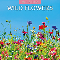 2027 16-Month Calendar Wild Flowers Square Wall, Red Robin RR271131