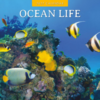 2027 16-Month Calendar Ocean Life Square Wall, Red Robin RR271306