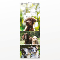 2027 16-Month Calendar Adorable Dogs Slim Wall, Red Robin RR272002