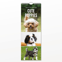 2027 16-Month Calendar Cute Puppies Slim Wall, Red Robin RR272009