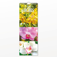 2027 16-Month Calendar Orchids Slim Wall, Red Robin RR272053