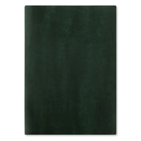 2026 Diary Letts of London Lecassa A5 Day to Page w/ Appointments Black 080410