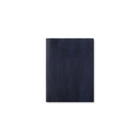 2027 Diary Letts of London Lecassa A6+ Day to Page w/ Appointments Navy, 27-081741