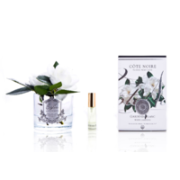 Cote Noire Perfumed White Gardenias - White- Fragance Flowers- Decoration GMG02