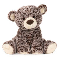 Plush GUND Knuffel the Teddy Bear 30cm, Great Baby Gift, JAS-U6065328