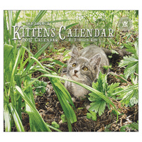 2027 Calendar The Legacy Kittens Horizontal Wall WCA113836