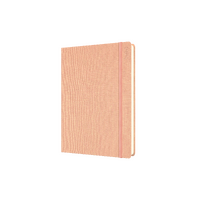 2027 Diary Debden Designer Desk A5 Day to Page Peach, D18.P51