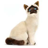 Bocchetta Plush Toys 26cm Siamese Cat Noodles (sitting), 7619