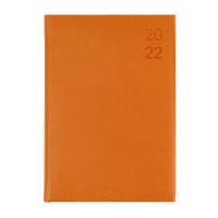 2023 Diary Debden Silhouette A5 Week to View Orange S5700.P44