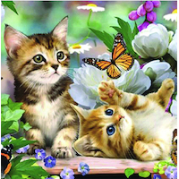 Diamond Art Kittens & Butterfly 30x40cm E7075 DIY Canvas Craft Diamond Decor