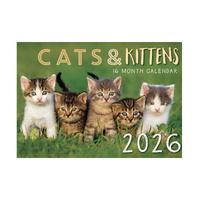 2026 Calendar Cats & Kittens 16-Month Horizontal Wall, Design Group CAL26002
