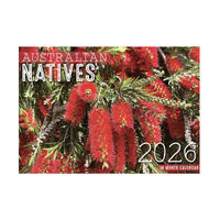 2026 Calendar Australian Natives 16-Month Horizontal Wall, Design Group CAL26023
