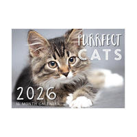 2026 Calendar Purrfect Cats 16-Month Horizontal Wall, Design Group CAL26034