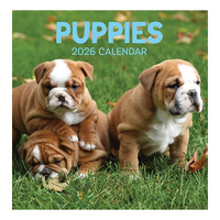 2026 Calendar Puppies Square Wall, Design Group CAL26035