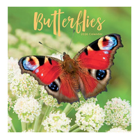 2026 Calendar Butterflies Square Wall, Design Group CAL26043