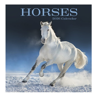2026 Calendar Horses Square Wall, Design Group CAL26044