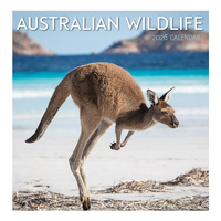 2026 Calendar Australian Wildlife Square Wall, Design Group CAL26046