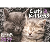 2027 16-Month Calendar Design Group Cats & Kittens Horizontal Wall, CAL27002
