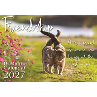 2027 16-Month Calendar Design Group Friendship Horizontal Wall, CAL27003