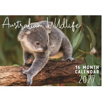 2027 16-Month Calendar Design Group Australian Wildlife Horizontal Wall, CAL27014