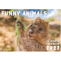 2027 16-Month Calendar Design Group Funny Animals Horizontal Wall, CAL27030