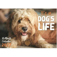 2027 16-Month Calendar Design Group It's a Dog's Life Horizontal Wall, CAL27033
