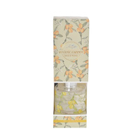 Gibson Gifts Botanic Garden Reed Diffuser 100mL Lemon & Verbena, 27001