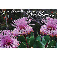 2022 Calendar Australian Wildflowers Mini Wall by Bartel AMI203