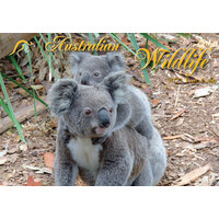 2022 Calendar Australian Wildlife Mini Wall by Bartel AMI202