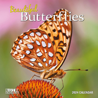 2024 Calendar Butterflies Ruby Square Wall by Bartel RB419