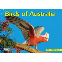2024 Calendar Birds Of Australia Prestige Wall by Bartel CA407