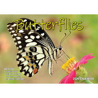 2026 Calendar Big Print Butterflies Horizontal Wall, Bartel BP616