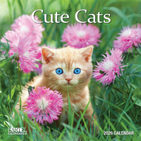 2026 Calendar Ruby Cute Cats Square Wall, Bartel RB617