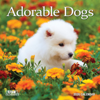 2026 Calendar Ruby Adorable Dogs Square Wall, Bartel RB618