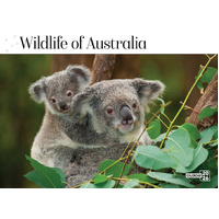 2026 Calendar Prestige Wildlife of Australia 16-Month Horizontal Wall, Bartel CA605