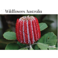2026 Calendar Prestige Wildflowers of Australia 16-Month Horizontal Wall, Bartel CA606
