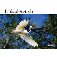 2026 Calendar Prestige Birds of Australia 16-Month Horizontal Wall, Bartel CA607