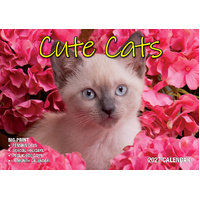 2027 Calendar Bartel Big Print Cute Cats Horizontal Wall, BP710