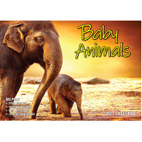 2027 Calendar Bartel Big Print Baby Animals Horizontal Wall, BP713