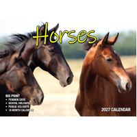 2027 Calendar Bartel Big Print Horses Horizontal Wall, BP714