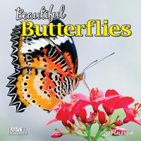2027 Calendar Bartel Ruby Beautiful Butterflies Square Wall, RB719