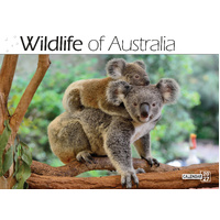 2027 Calendar Bartel Prestige Wildlife of Australia Horizontal Wall, CA705