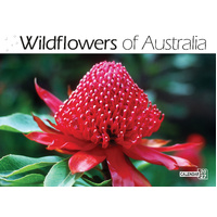 2027 Calendar Bartel Prestige Wildflowers of Australia Horizontal Wall, CA706