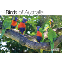 2027 Calendar Bartel Prestige Birds of Australia Horizontal Wall, CA707