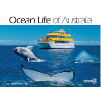 2027 Calendar Bartel Prestige Ocean Life of Australia Horizontal Wall, CA714