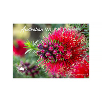 2026 Calendar Australian Wildflowers Horizontal Wall, Artique 100629