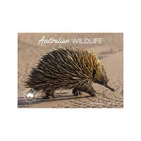 2026 Calendar Australian Wildlife Horizontal Wall, Artique 100631