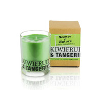 Scents Of Nature Soy Candle 240 g - Kiwifruit & Tangerine by Tilley FG1256